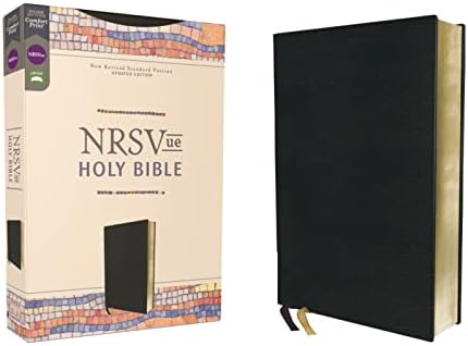 Holy Bible - New Revised Standard Version: Division of Christian